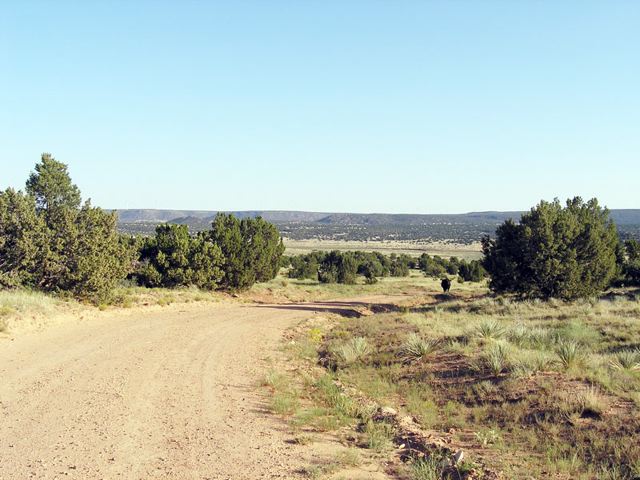p9142788.jpg