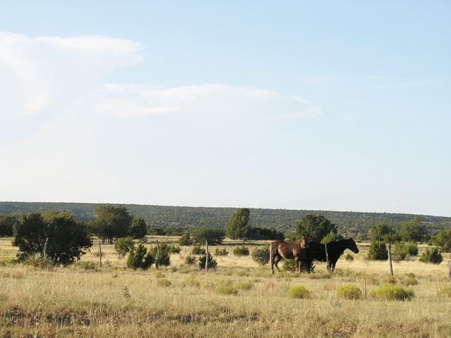 p9142805.jpg