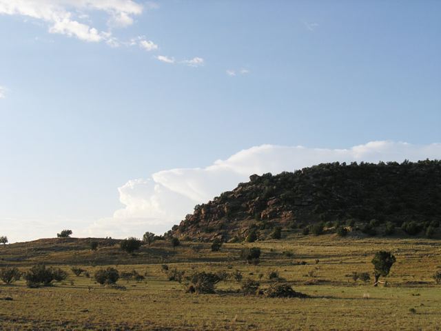 p9142815.jpg