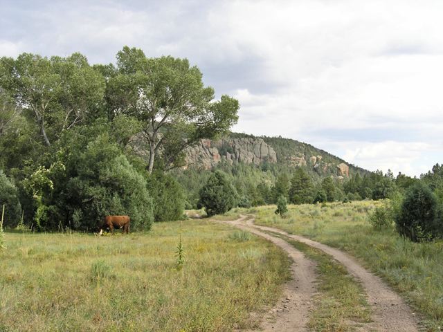p9122733.jpg