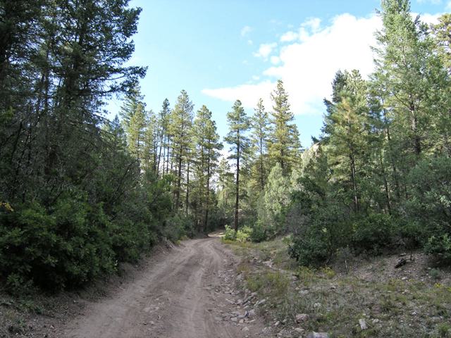 p9122740.jpg