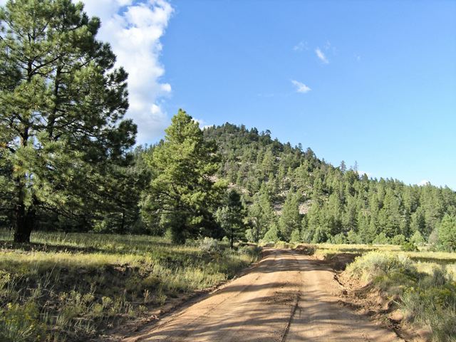 p9122752.jpg