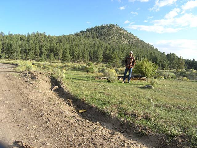 p9122765.jpg