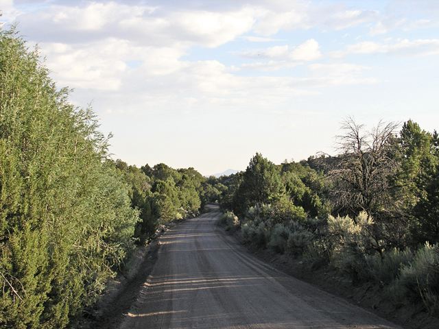 p9122774.jpg