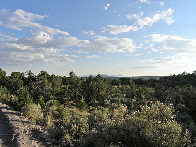 p9122775.jpg
