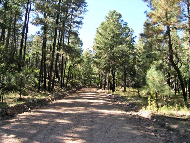 pa032843.jpg