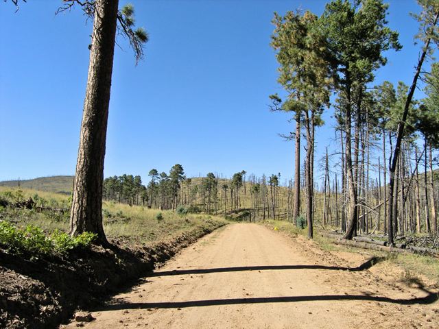 pa032847.jpg