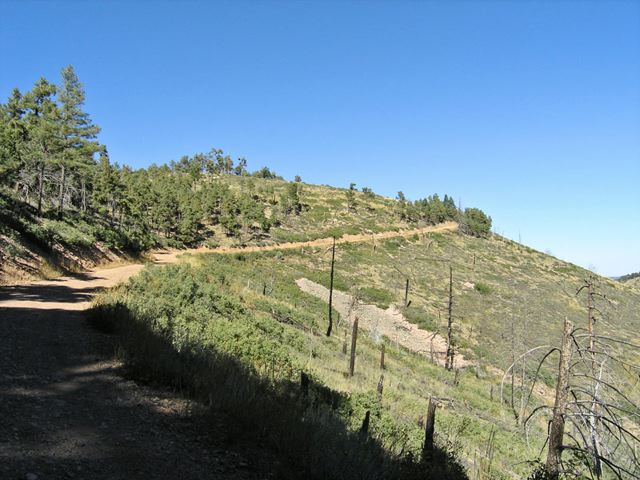 pa032860.jpg