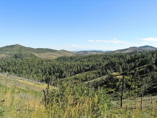 pa032861.jpg