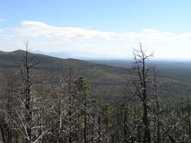 pa032877.jpg