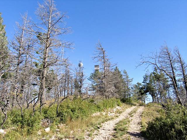 pa032881.jpg