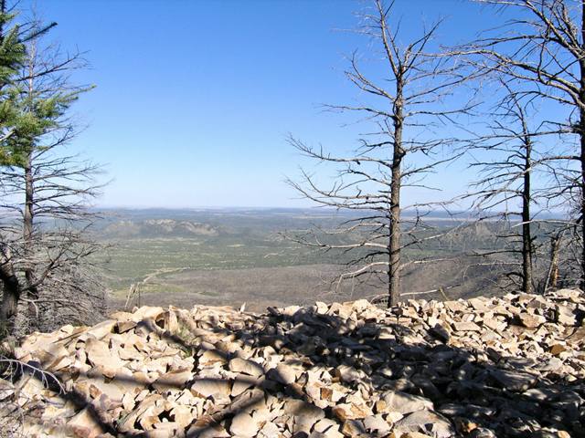 pa032890.jpg
