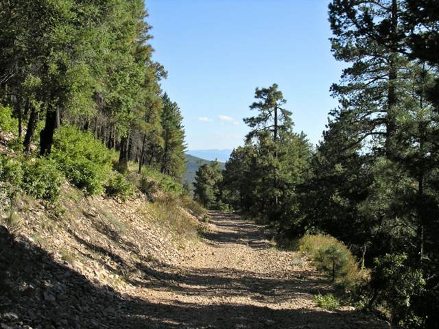 pa032893.jpg