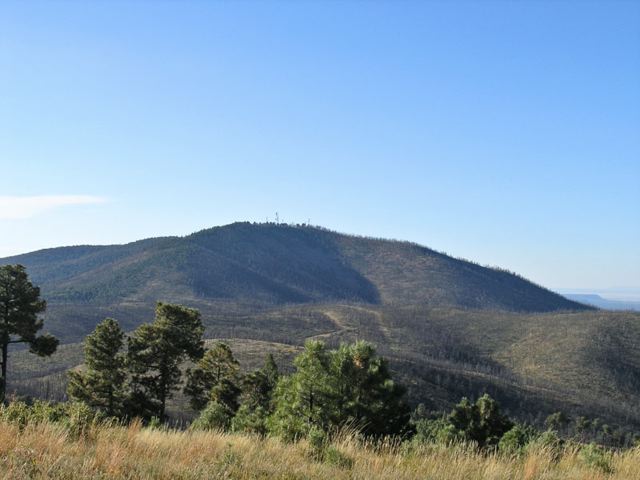 pa032897.jpg