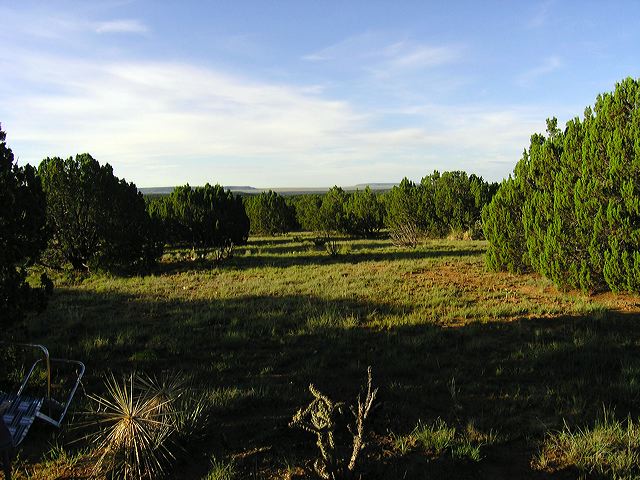 afterrain.jpg