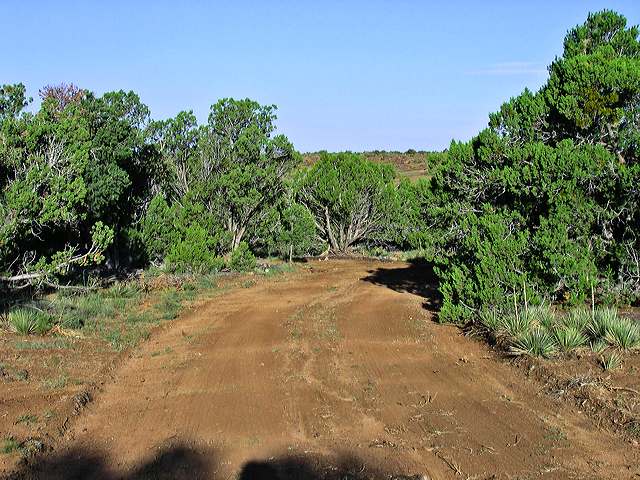 road.jpg