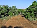 road