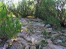 rockwash